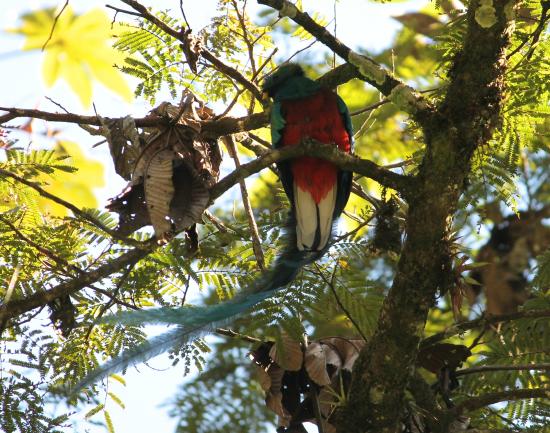 Ranchitos del Quetzal-Reserva Kukumatz
